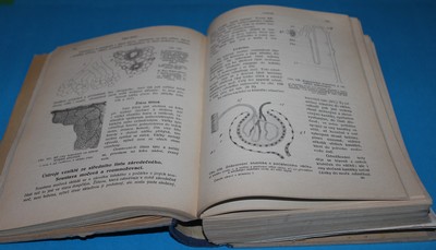 Praktická zdravověda Biologie člověka zdravého i nemocného