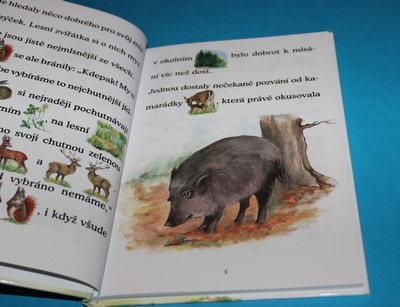 Příběhy z lesa - Kopcová