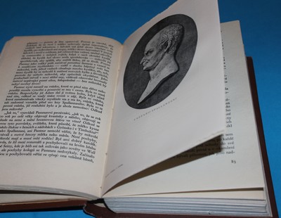 Lovci mikrobů - Kruif