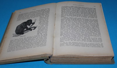 Velký zeměpis všech dílů světa. Díl 5., Amerika jižní