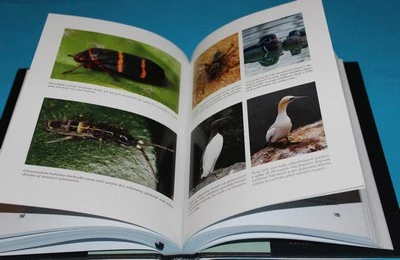 Desatero pohybů: Zvířata na souši, ve vodě a ve vzduchu AUTOGRAM