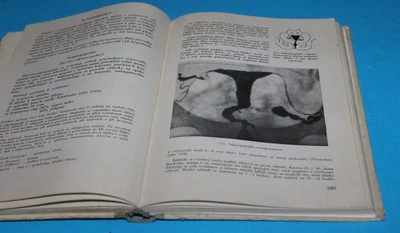 Klinická roentgenologie a radiologie