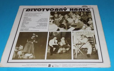 LP Divotvorný hrnec V+W
