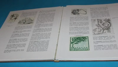 České exlibris historie a současnost