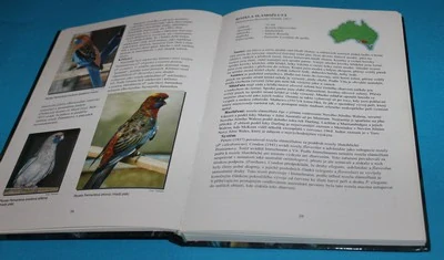 Papoušci Austrálie I. - Vašíček