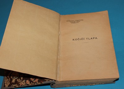 Kočičí tlapa Indický román - Croker