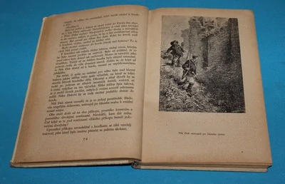 Tajemný hrad v Karpatech - Verne