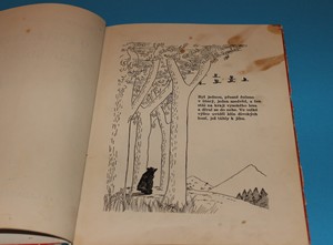 O popleteném medvědovi - Tashlin