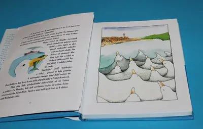 O rackovi a kočce, která ho naučila létat