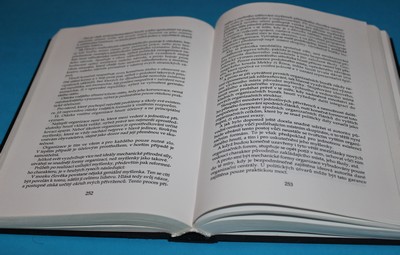 Mein Kampf (Můj boj) 2000