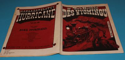 Děs Wyomingu 