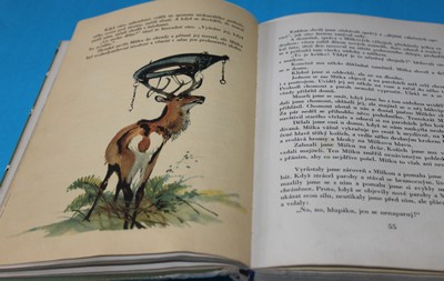 Tygřík Vaska - Perovská