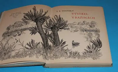 Výstřel v bažinách - Tisovský