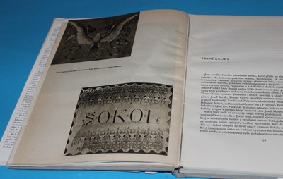 Lví silou Pocta a dík sokolstvu