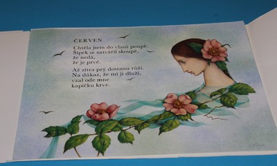 Šťastný rok - Štíplová, Jiřincová