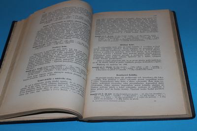 Kniha rozpočtů a kuchařských předpisů (1928)
