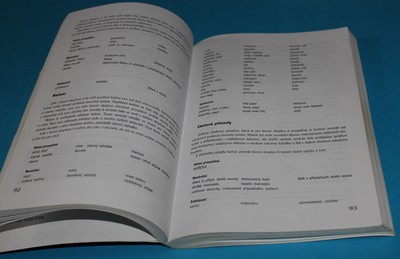 Výživa a krevní skupiny