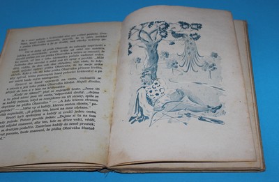 Nejkrásnější národní pohádky - Erben