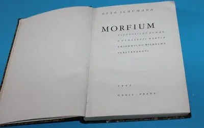 Morfium životopisný román