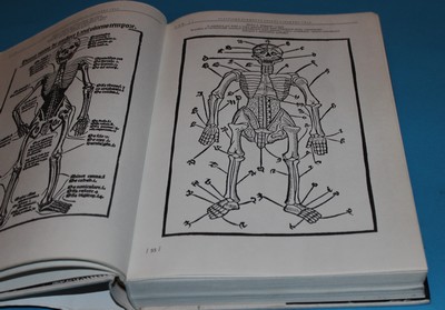 Anatomie pro výtvarníky - Zrzavý