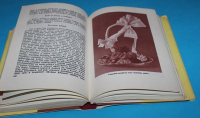 Úsporná kuchařka Zlatá kniha malé domácnosti