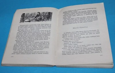 V týlu nepřítele KOD - Medvěděv