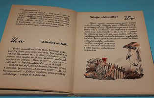 Kulihráškův národní slabikář Veselá knížka pro nejmenší čtenáře a jejich maminky