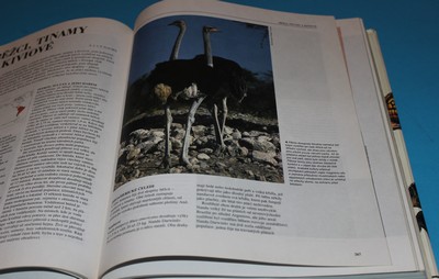 Obratlovci savci, ptáci, obojživelníci, plazi 