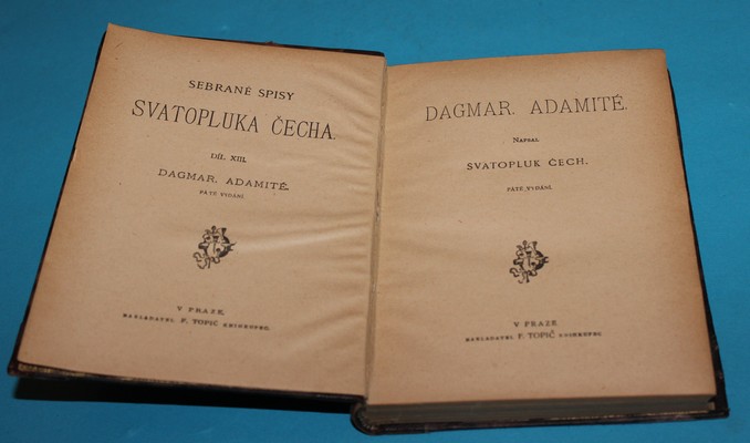 Dagmar Adamité - Čech