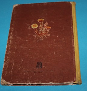 Ježek bohatýr Povídky a pohádky