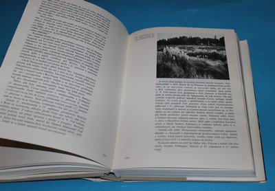 Lovec kaktusů - Crkal