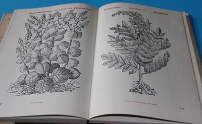 Herbář jinak Bylinář velmi užitečný