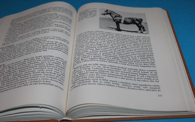 Chov koní - Štrupl a kol.