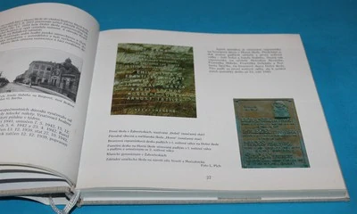Brno-Žabovřesky historie a současnost