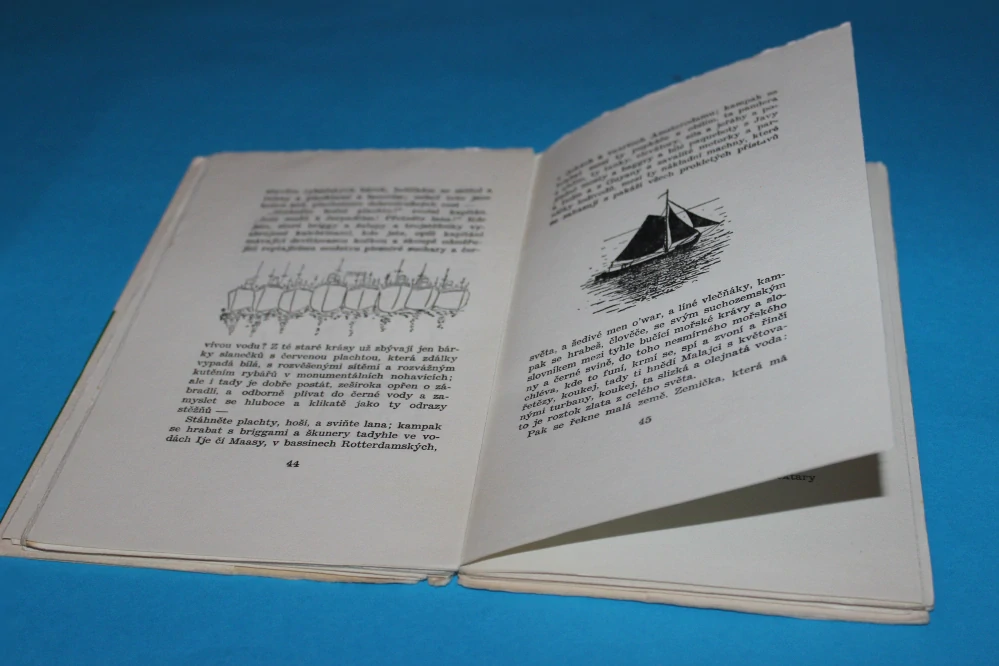 Obrázky z Holandska - Čapek
