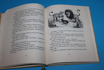 Paví očko - Sílová