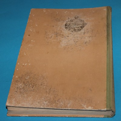 Osadníci na dalekém západě - Marryat