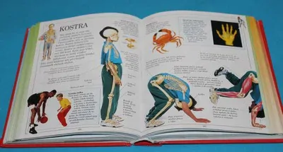 Dětská encyklopedie do kapsy