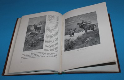 Lovecké rozkoše myslivecké příhody a vzpomínky z přírody