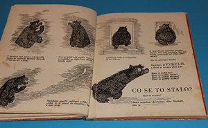 O popleteném medvědovi - Tashlin