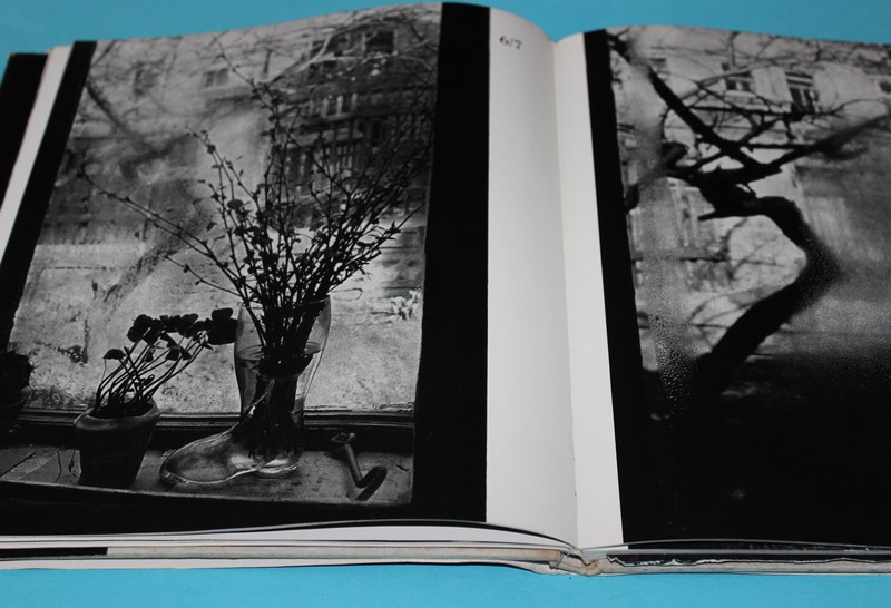 Sudek (Josef Sudek) - Řezáč