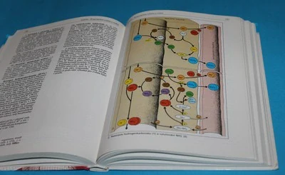 Atlas fyziologie člověka