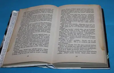 Člověk jménem Dave - Pelzer