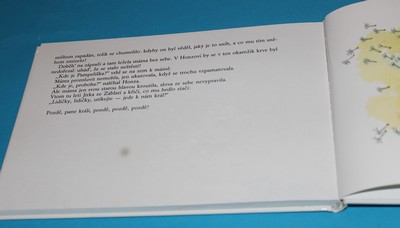 Princezna Pampeliška - Fischerová-Kvěchová