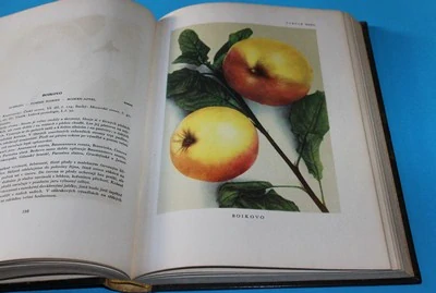 Atlas tržních odrůd ovoce