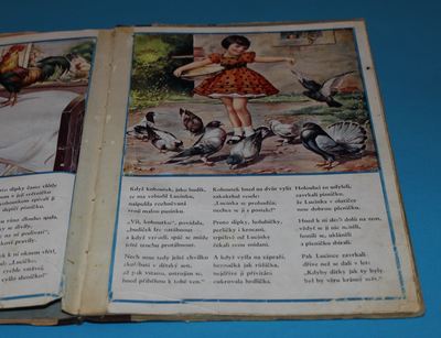Lucinka, Marbulínkova sestřička s nejmilejší drůbeží