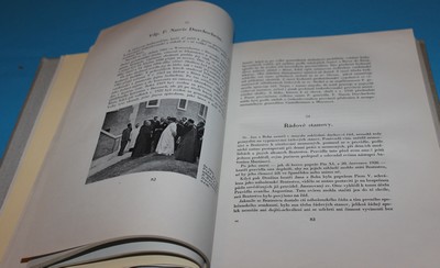 Milosrdní bratři - Bogar