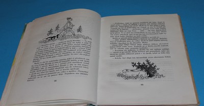 Povídání o zajíci Matějovi