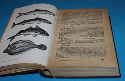 Kniha rozpočtů a kuchařských předpisů (1950)