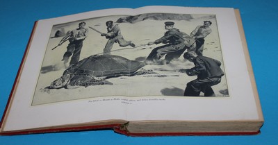 Dva roky prázdnin - Verne